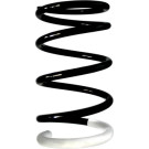Spidan | Fahrwerksfeder | 87118