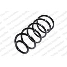 4095062 Fahrwerksfeder