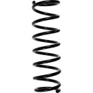 Spidan | Fahrwerksfeder | 55376