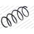 4092614 Fahrwerksfeder