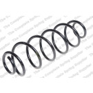 4215631 Fahrwerksfeder