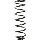 Spidan | Fahrwerksfeder | 56587