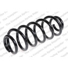 4282921 Fahrwerksfeder