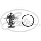 Gates | Thermostat, Kühlmittel | TH31682G1