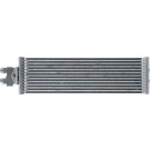 Mahle | Ölkühler, Automatikgetriebe | CLC 295 000P