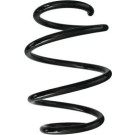 Spidan | Fahrwerksfeder | 87928 Spidan | Fahrwerksfeder | 87928