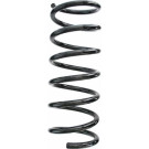 Spidan | Fahrwerksfeder | 87615