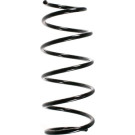 Spidan | Fahrwerksfeder | 56183