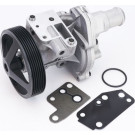 WPS3169 Wasserpumpe, Motorkühlung WPS3169 Wasserpumpe, Motorkühlung
