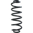 Spidan | Fahrwerksfeder | 87174