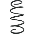 Spidan | Fahrwerksfeder | 55613