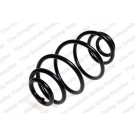 4263438 Fahrwerksfeder