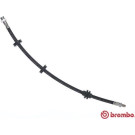 Brembo | Bremsschlauch | T 23 044