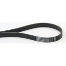 ContiTech | Keilrippenriemen | 6PK1217
