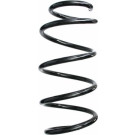 Spidan | Fahrwerksfeder | 87705