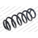 4204298 Fahrwerksfeder