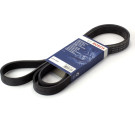 1 987 947 819 Keilrippenriemen