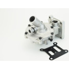 WPS3179 Wasserpumpe, Motorkühlung WPS3179 Wasserpumpe, Motorkühlung