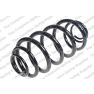 5256858 Fahrwerksfeder