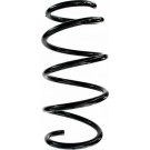 Spidan | Fahrwerksfeder | 87822