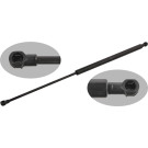 FEBI BILSTEIN 34414 Gasfeder, Heckscheibe