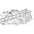 Elring | Dichtungsvollsatz, Motor | 905.710