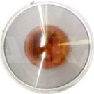 3107961 Blinkleuchte