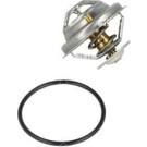 NRF | Thermostat, Kühlmittel | 725105