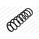 4204212 Fahrwerksfeder