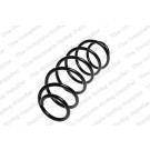 4066758 Fahrwerksfeder