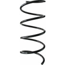 Spidan | Fahrwerksfeder | 85597