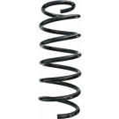 Spidan | Fahrwerksfeder | 87485
