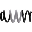 Sachs | Fahrwerksfeder | 994 832
