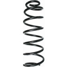 Spidan | Fahrwerksfeder | 86808