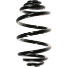 55954 Fahrwerksfeder 55954 Fahrwerksfeder