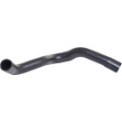 2420013 Kühlerschlauch