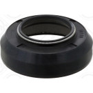 Elring | Dichtring | 393.880
