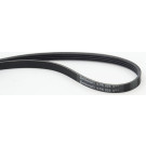 ContiTech | Keilrippenriemen | 4PK925 ContiTech | Keilrippenriemen | 4PK925