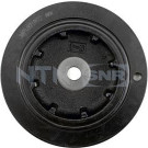 DPF355.09 Riemenscheibe, Kurbelwelle DPF355.09 Riemenscheibe, Kurbelwelle