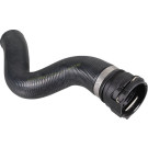2422173 Kühlerschlauch