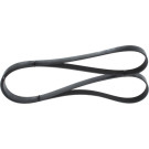 1 987 946 256 Keilrippenriemen