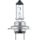 8GH 178 555-251 Glühlampe, Hauptscheinwerfer HEAVY DUTY