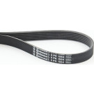 ContiTech | Keilrippenriemen | 6PK1564