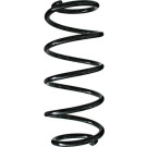 Spidan | Fahrwerksfeder | 49335