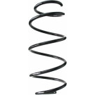 Spidan 2 x SPIDAN Fahrwerksfeder 85738