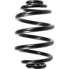 Spidan | Fahrwerksfeder | 49164
