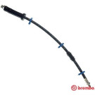 Brembo | Bremsschlauch | T 61 066