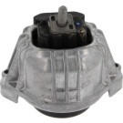 Corteco | Lagerung, Motor | 80000697