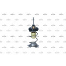 NRF | Thermostat, Kühlmittel | 725093