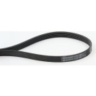 ContiTech | Keilrippenriemen | 6PK1352